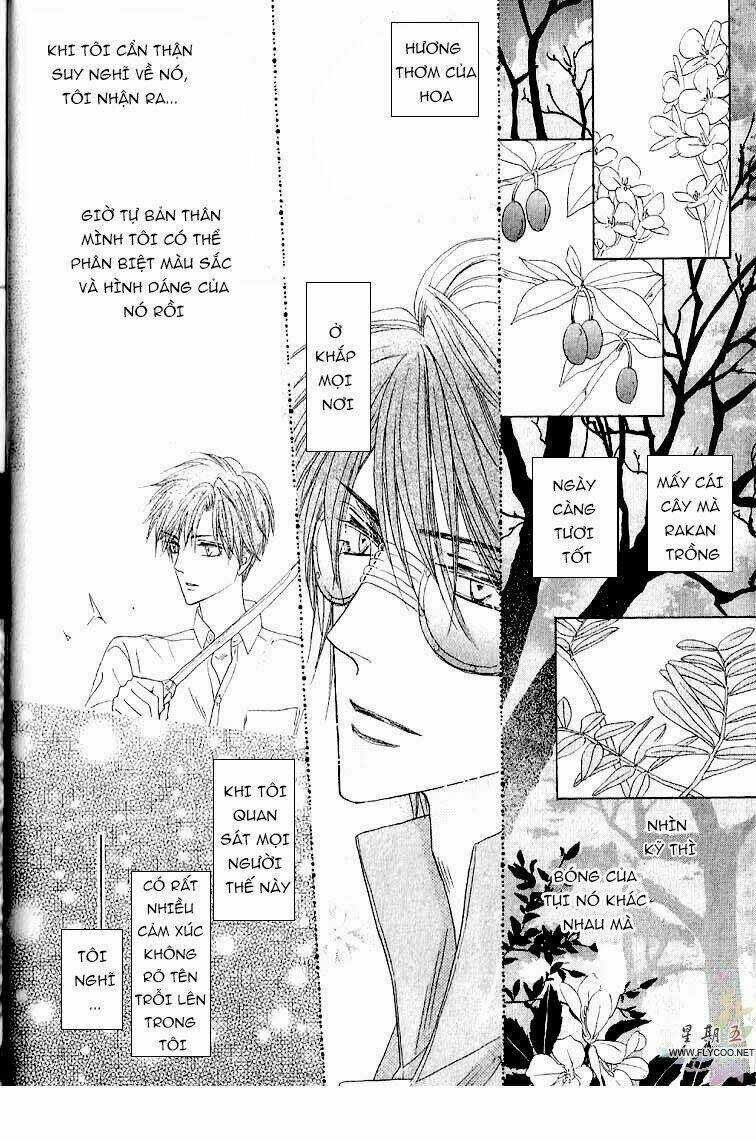 Kim Cương Bạc - Chapter 31 - Trang 12