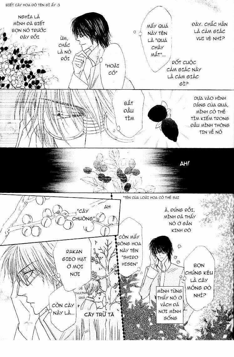 Kim Cương Bạc - Chapter 31 - Trang 13