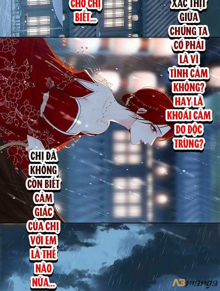 Kim Ốc Tàng Kiều - Chapter 75 - Trang 6