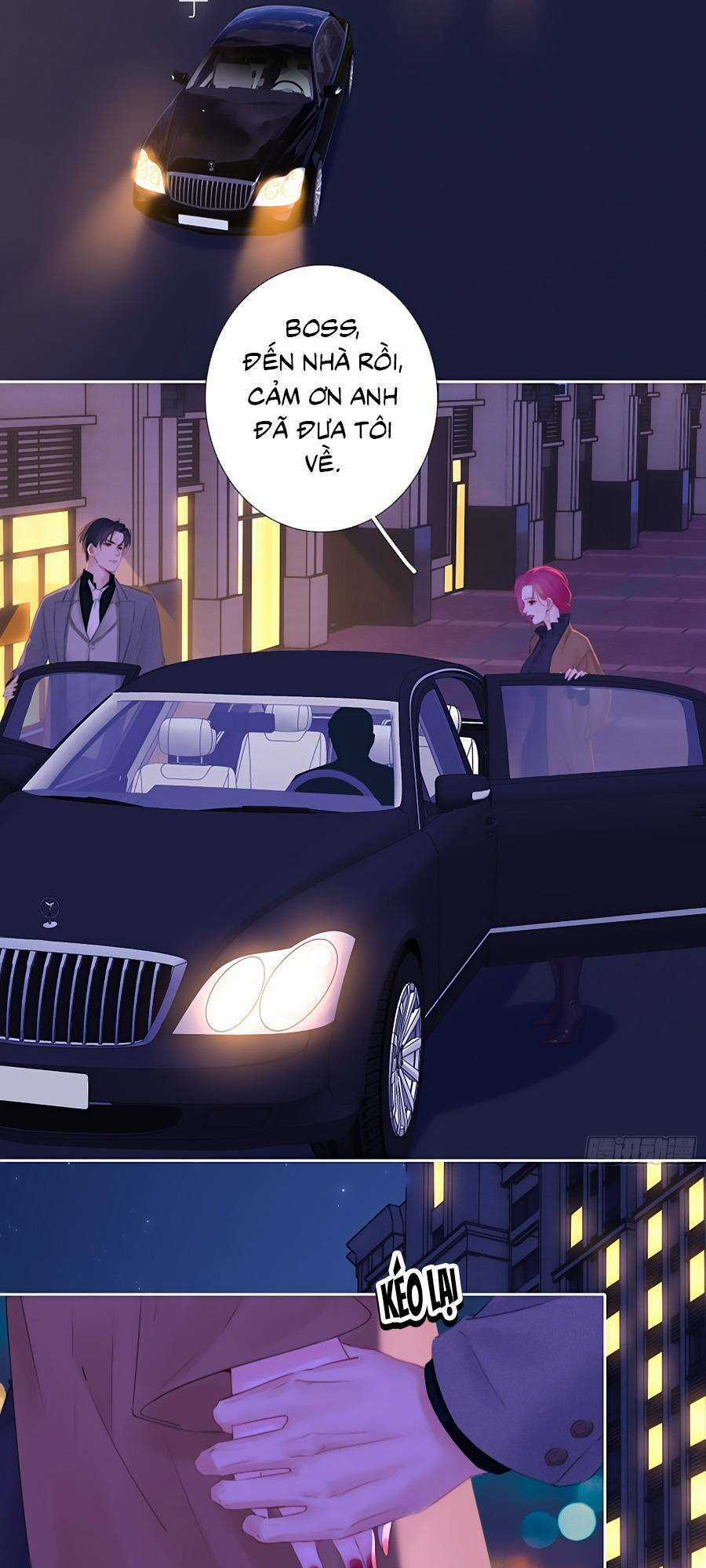 Kim Ốc Tàng Kiều - Chapter 84 - Trang 8