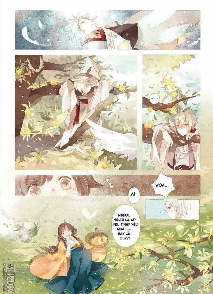 Kim Quế Hoa Cao - Chapter 1 - Trang 2