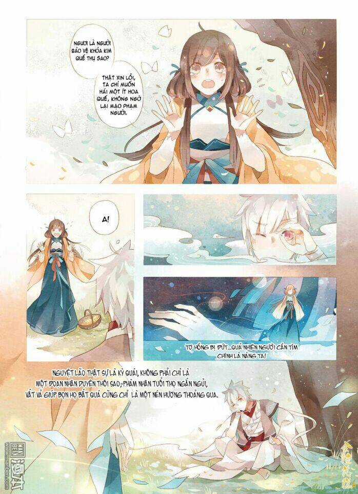 Kim Quế Hoa Cao - Chapter 1 - Trang 4