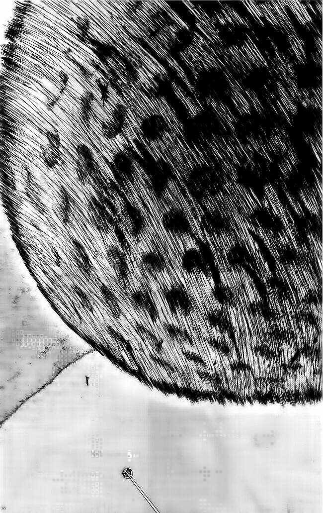 King Golf - Chapter 99 - Trang 14