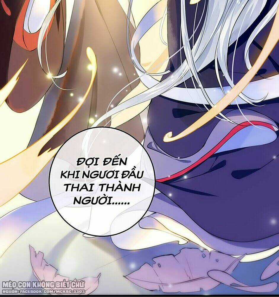 Kính Hoa Thương - Chapter 1 - Trang 17