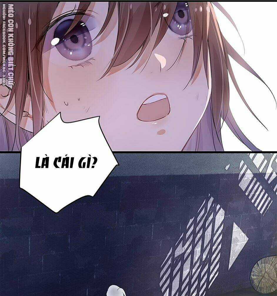 Kính Hoa Thương - Chapter 1 - Trang 24