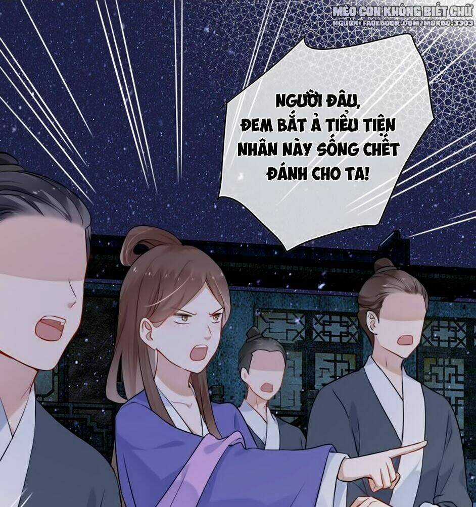 Kính Hoa Thương - Chapter 9 - Trang 11