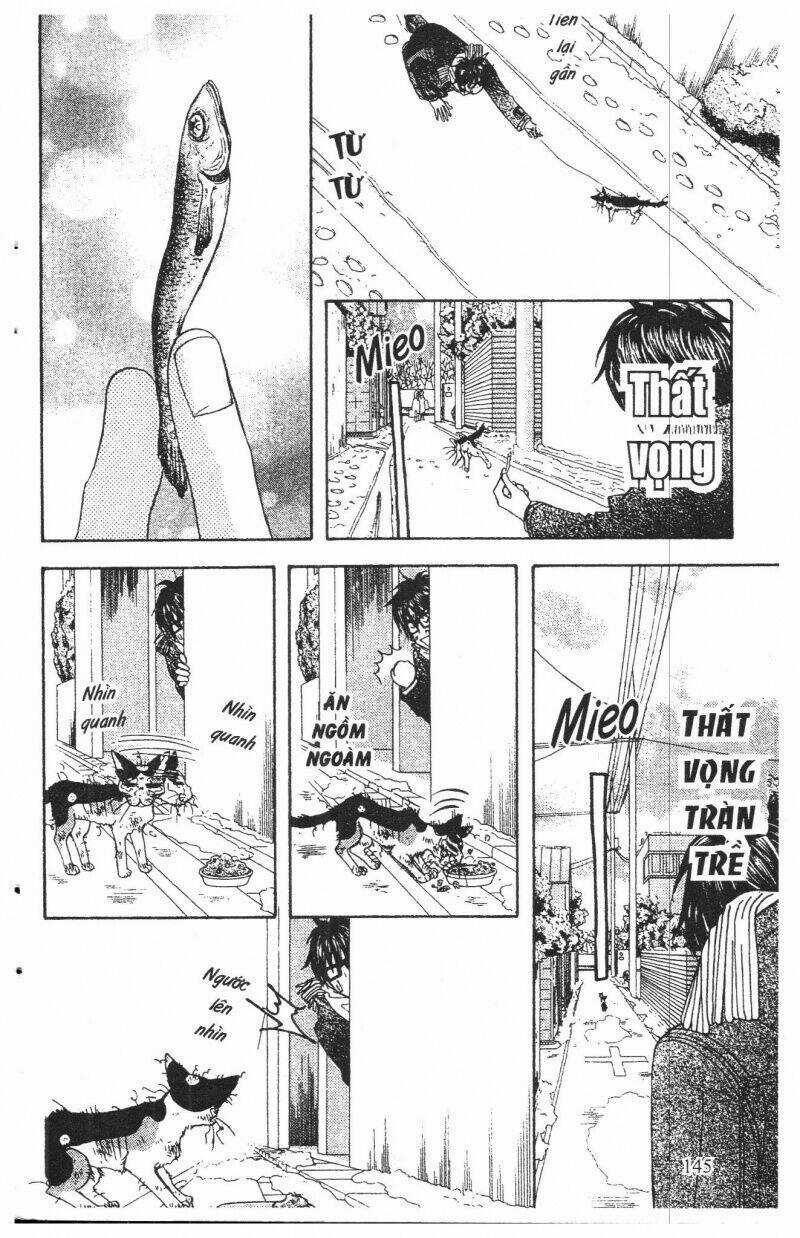 Kirara No Hoshi - Chapter 6 - Trang 145