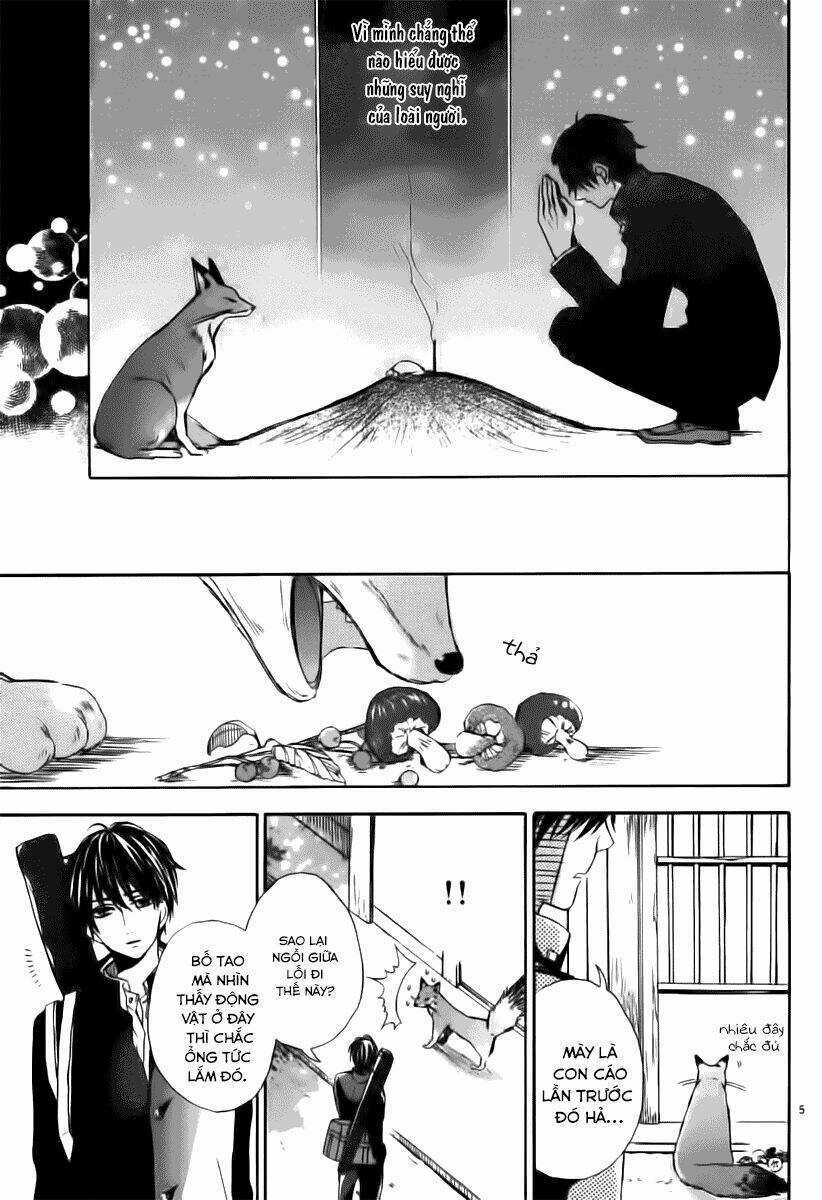 Kitsune no Yomeiri - Chapter 11 - Trang 5