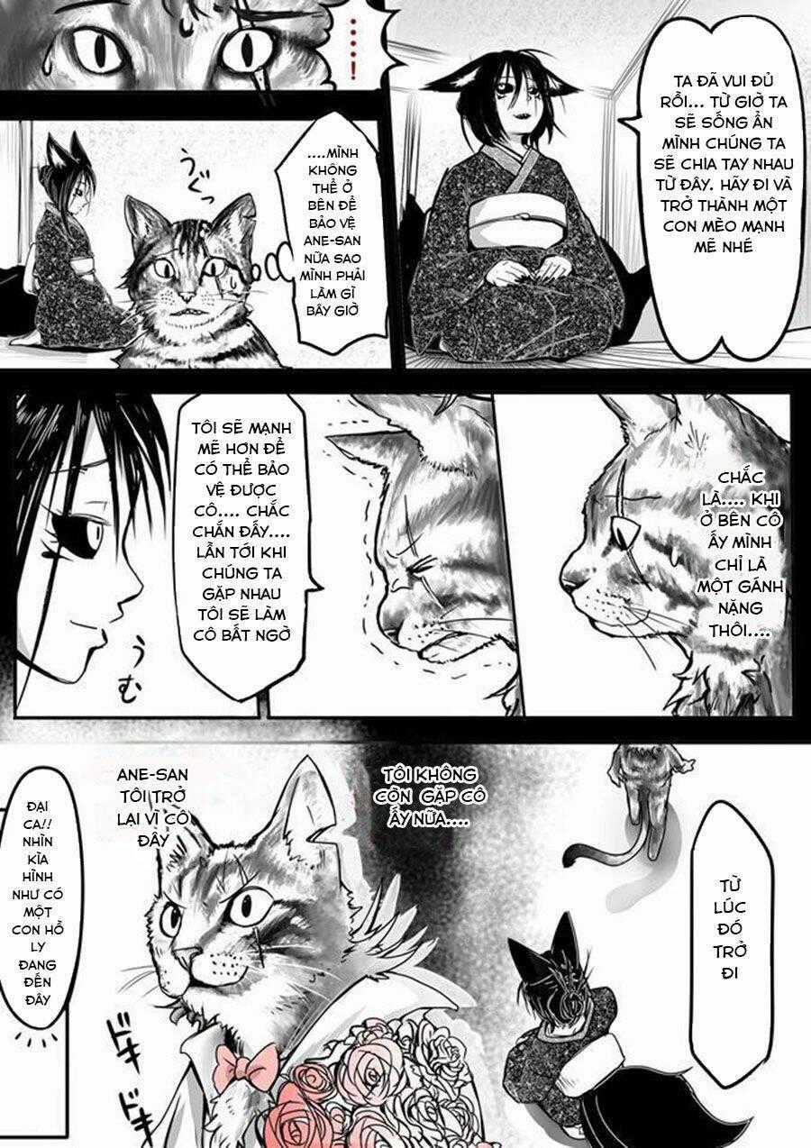 Kitsune Spirit - Chapter 2 - Trang 3