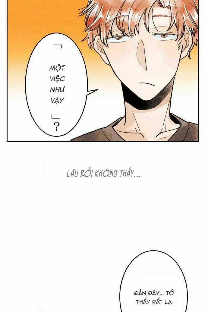 Koe koi - Chapter 14 - Trang 17