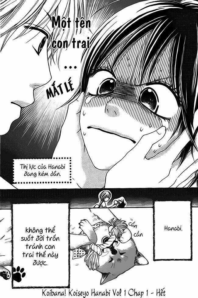 Koibana! - Koiseyo Hanabi - Chapter 1 - Trang 37