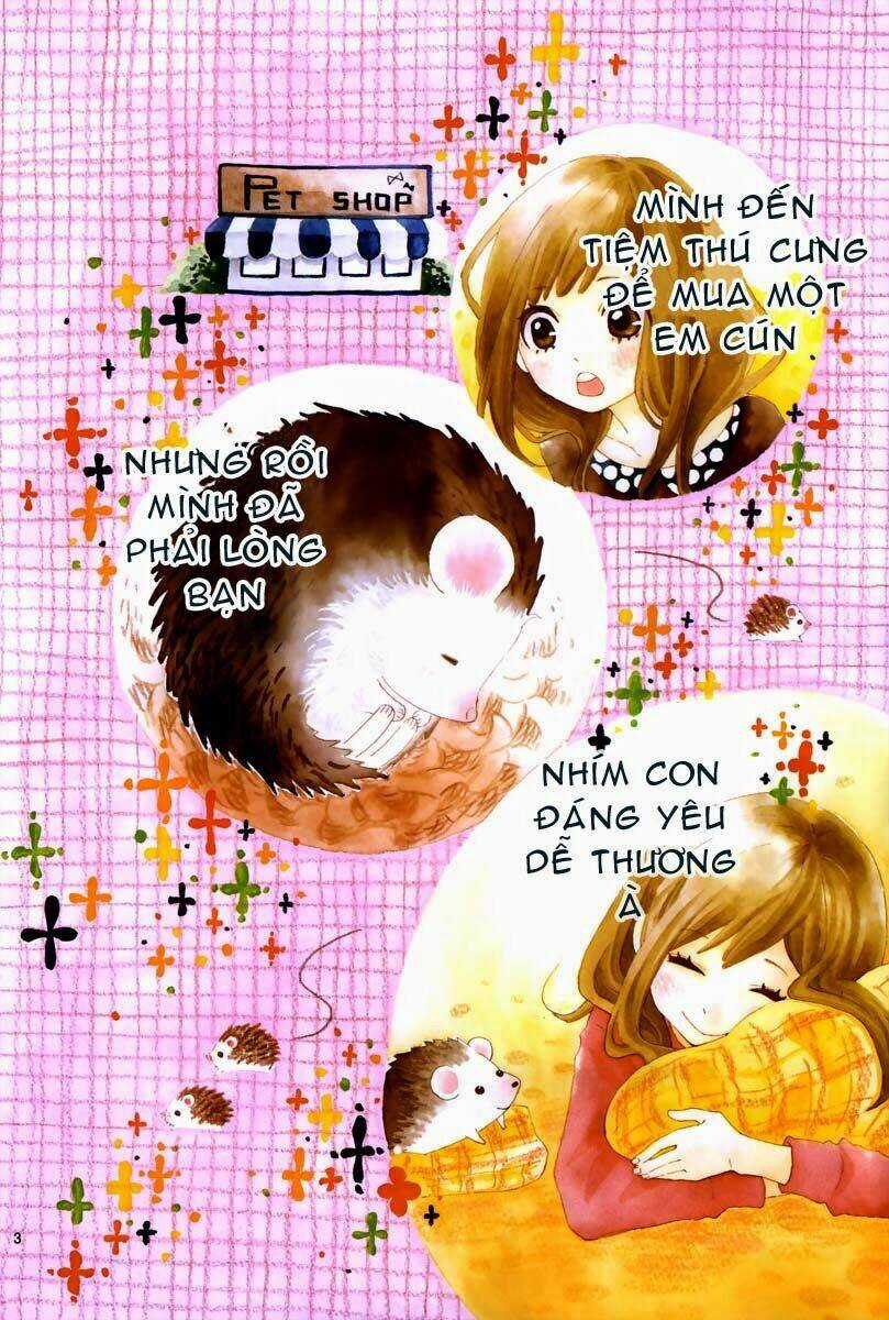 Koisuru Harinezumi - Chapter 1 - Trang 4