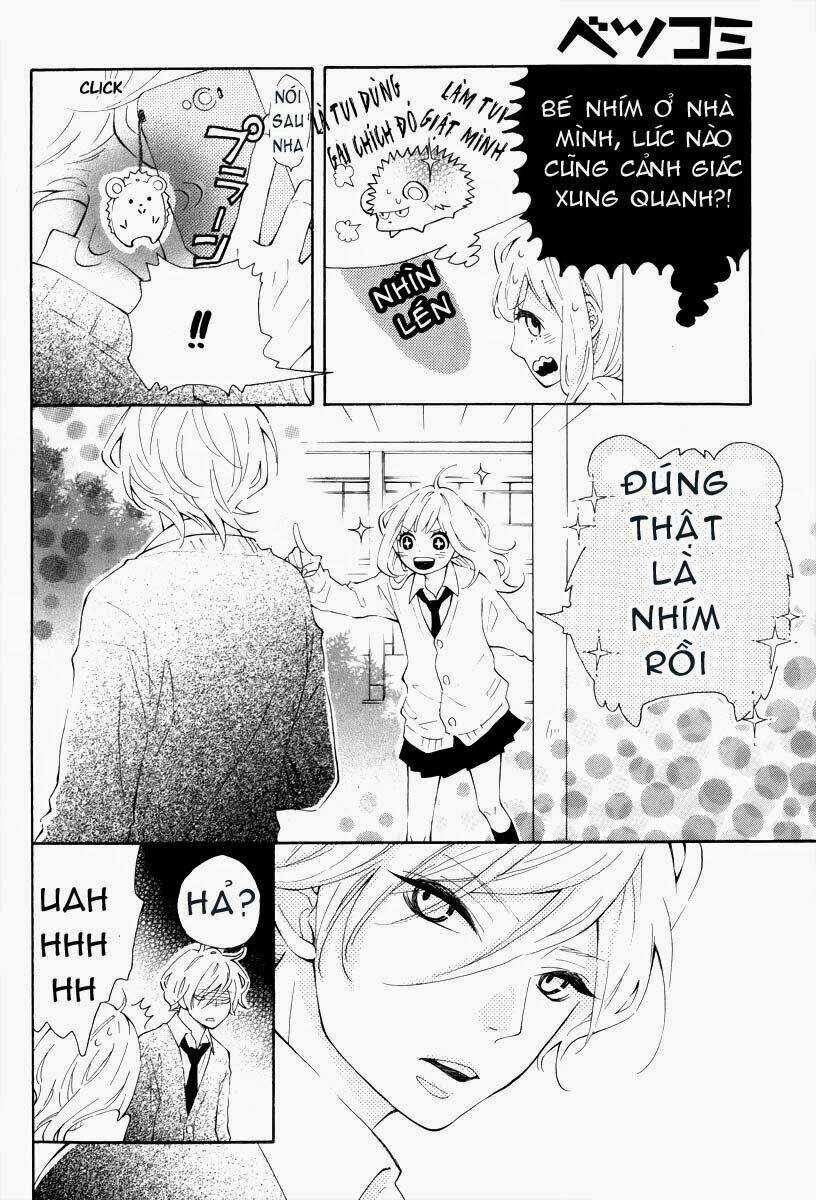Koisuru Harinezumi - Chapter 1 - Trang 8