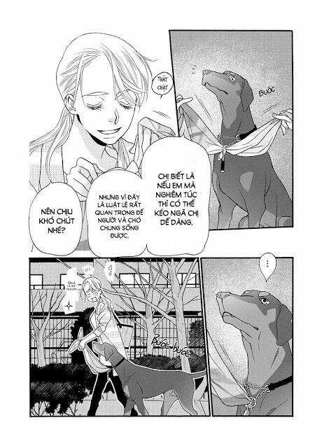 Koisuru Moon Dog - Chapter 1 - Trang 16