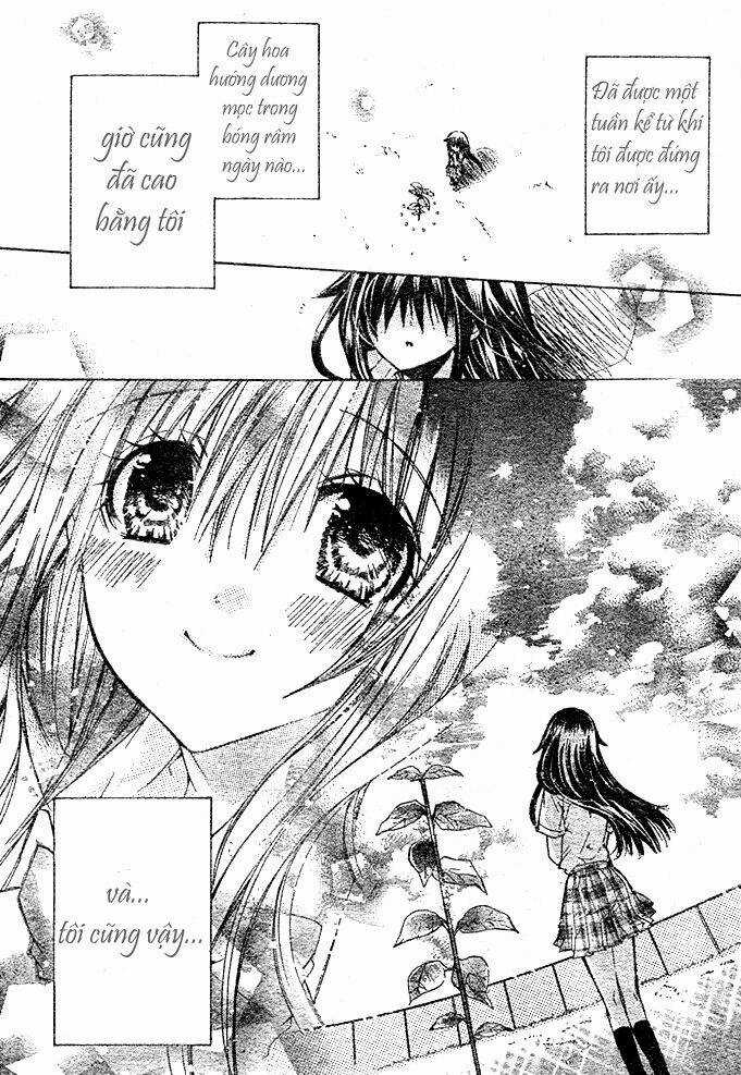 Kokoni Iru Yo - Chapter 9 - Trang 5