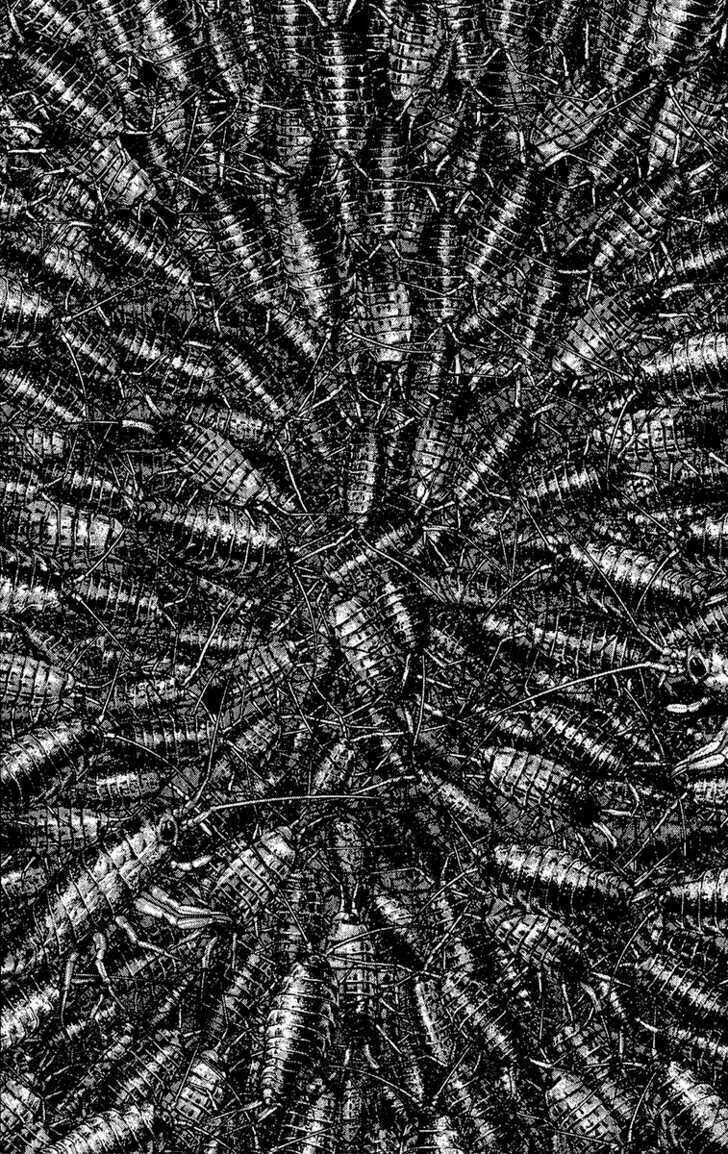 Kokou No Hito - Chapter 103 - Trang 19