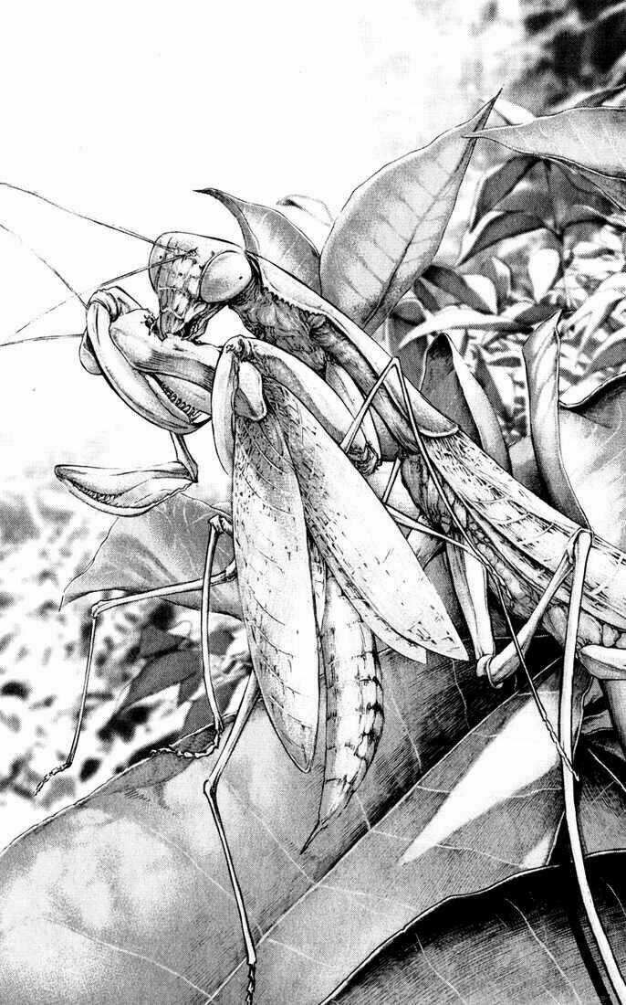 Kokou No Hito - Chapter 51 - Trang 6