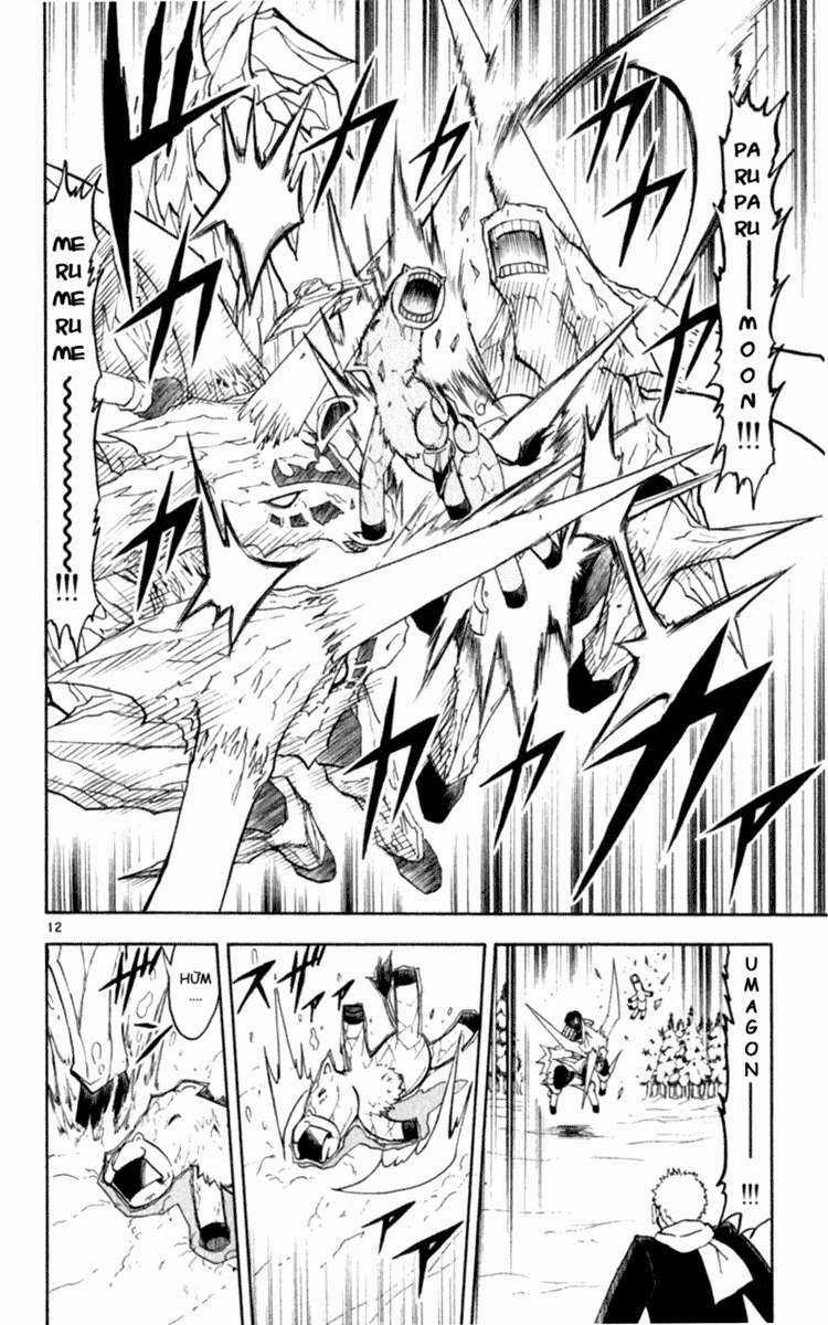 Konjiki no Gash!! - Chapter 174 - Trang 12