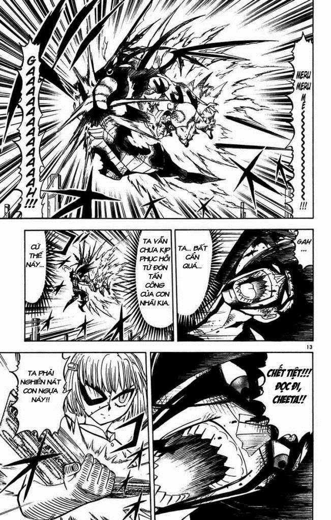 Konjiki no Gash!! - Chapter 249 - Trang 14