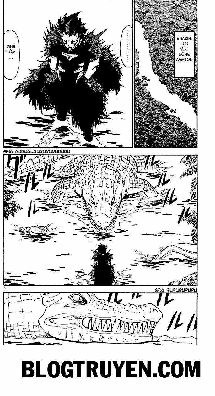 Konjiki no Gash!! - Chapter 54 - Trang 3