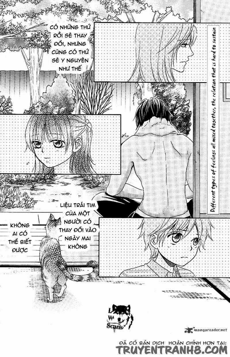 Kore Wa Koi No Hanashi - Chapter 13 - Trang 42