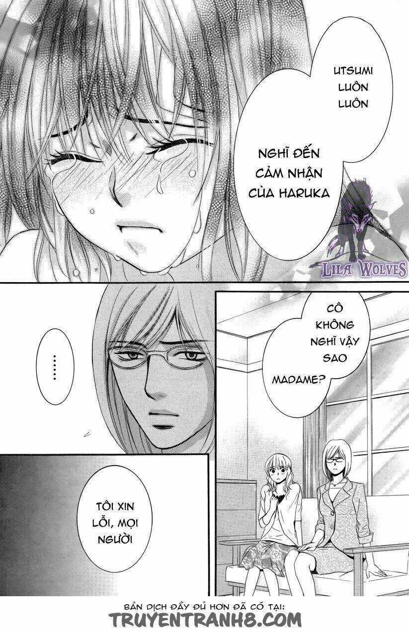 Kore Wa Koi No Hanashi - Chapter 17 - Trang 41