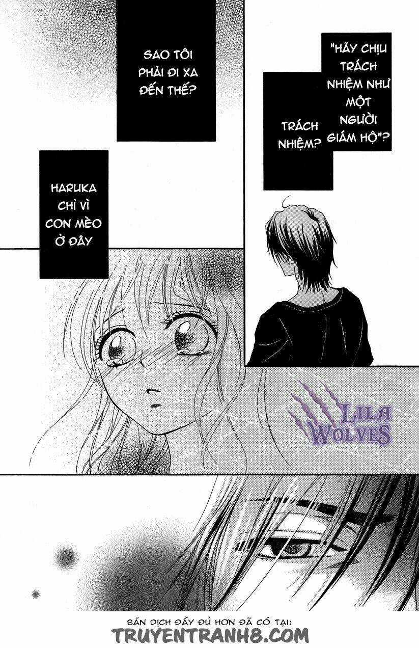 Kore Wa Koi No Hanashi - Chapter 18 - Trang 14