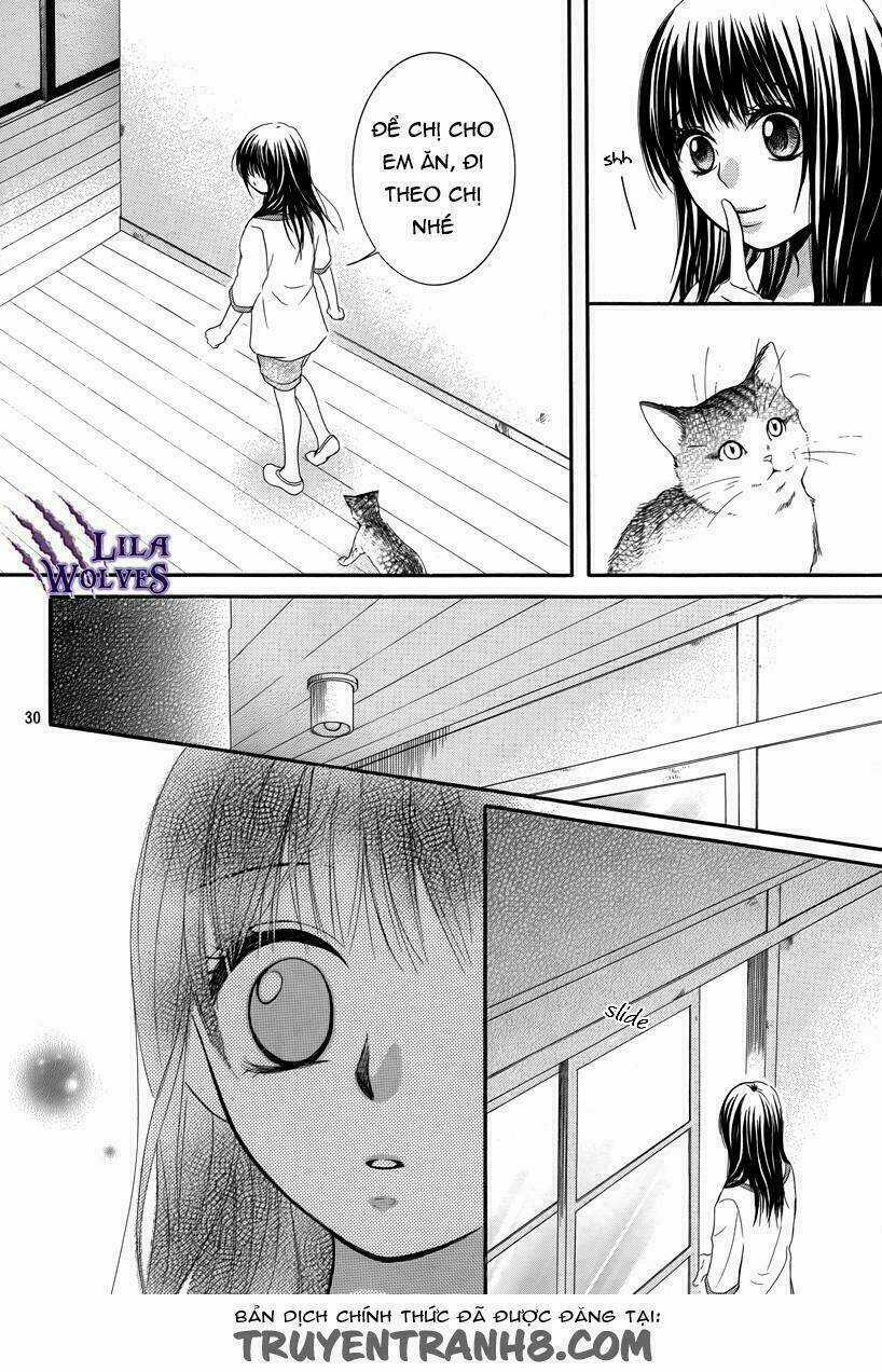 Kore Wa Koi No Hanashi - Chapter 20 - Trang 32