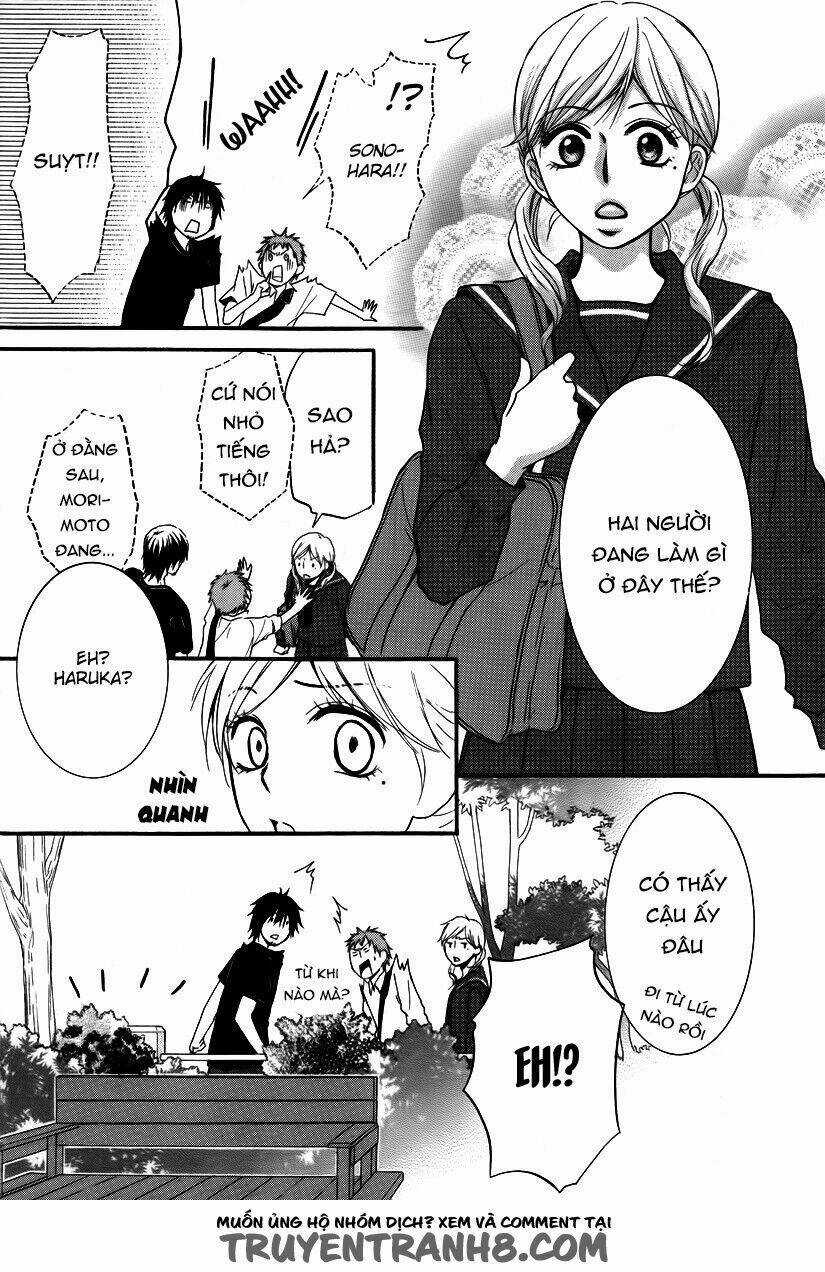 Kore Wa Koi No Hanashi - Chapter 24 - Trang 12