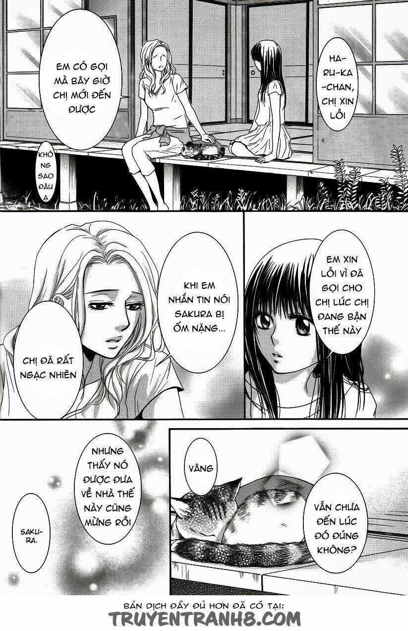Kore Wa Koi No Hanashi - Chapter 35 - Trang 14