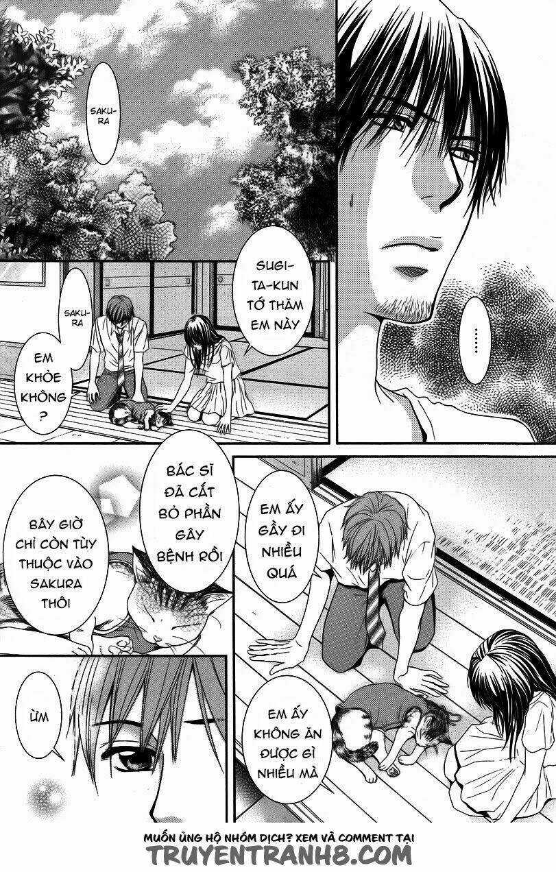 Kore Wa Koi No Hanashi - Chapter 35 - Trang 22