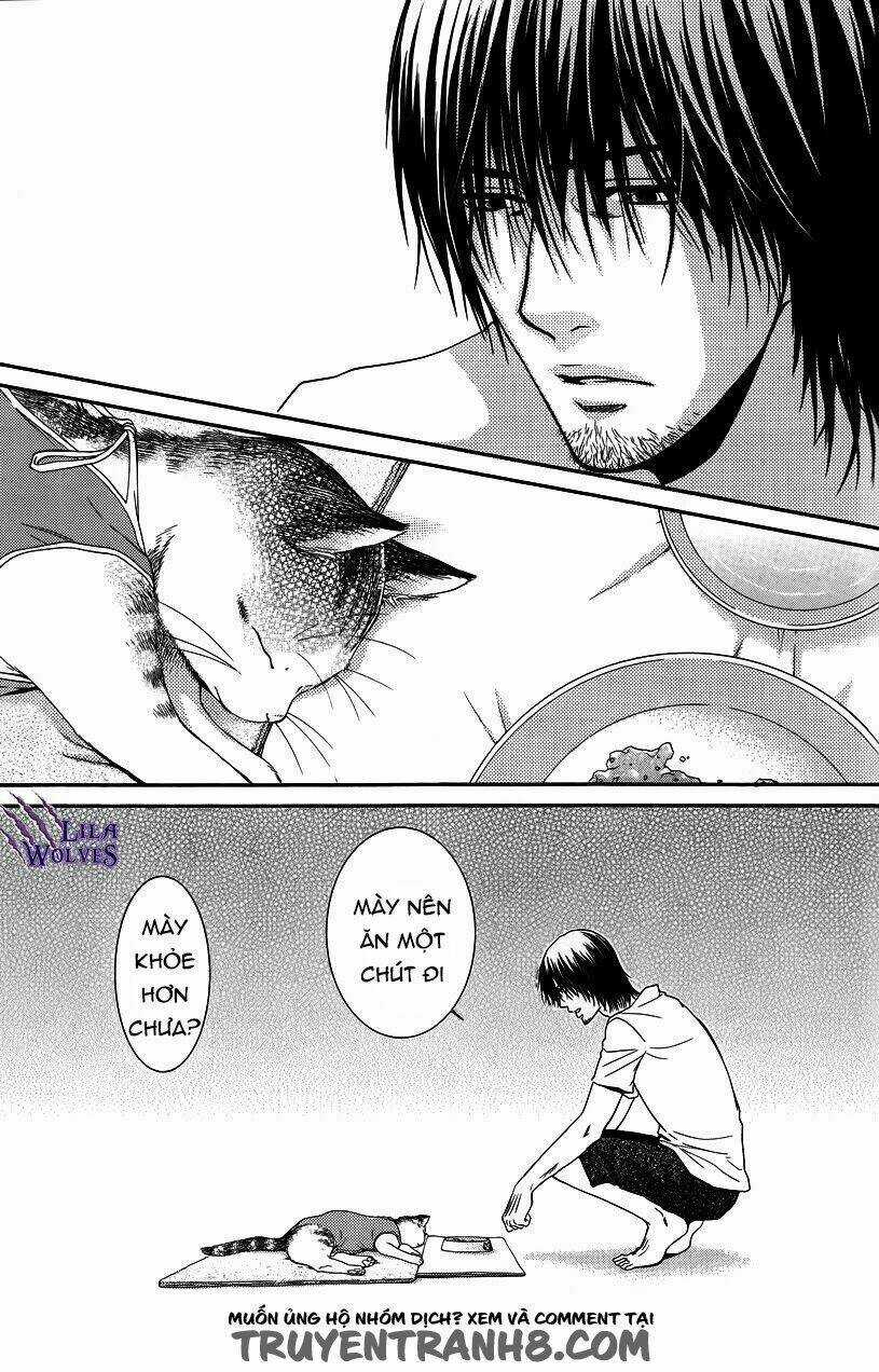 Kore Wa Koi No Hanashi - Chapter 35 - Trang 5