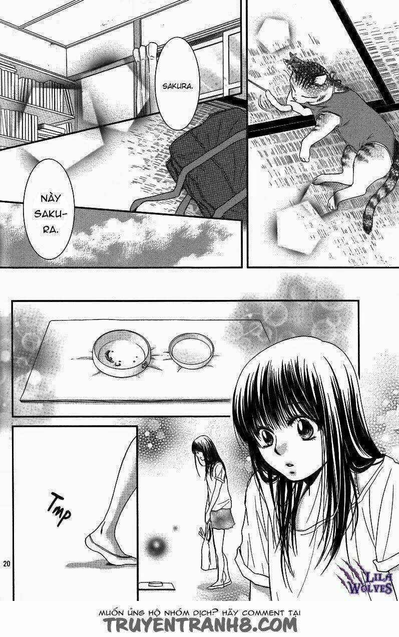 Kore Wa Koi No Hanashi - Chapter 36 - Trang 24