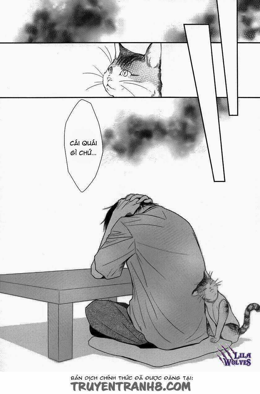 Kore Wa Koi No Hanashi - Chapter 37 - Trang 40