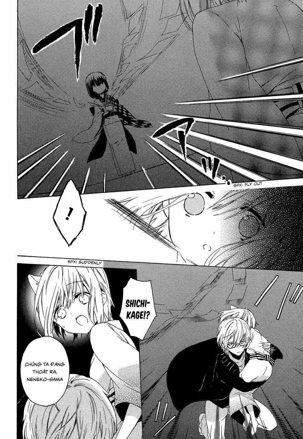 Kudamimi No Neko - Chapter 1 - Trang 38