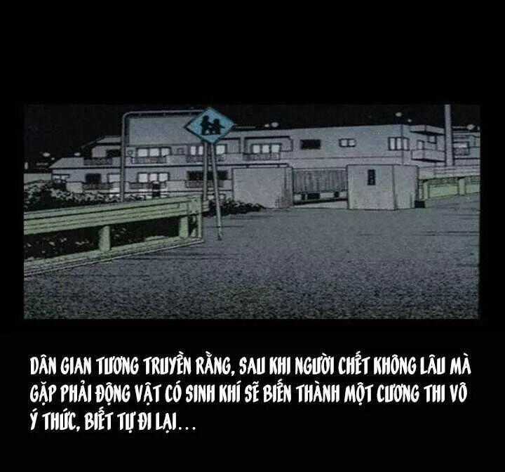 Kỳ Án Có Thật - Chapter 34 - Trang 51