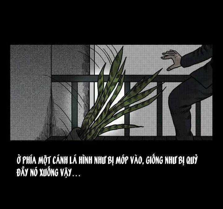 Kỳ Án Có Thật - Chapter 39 - Trang 15
