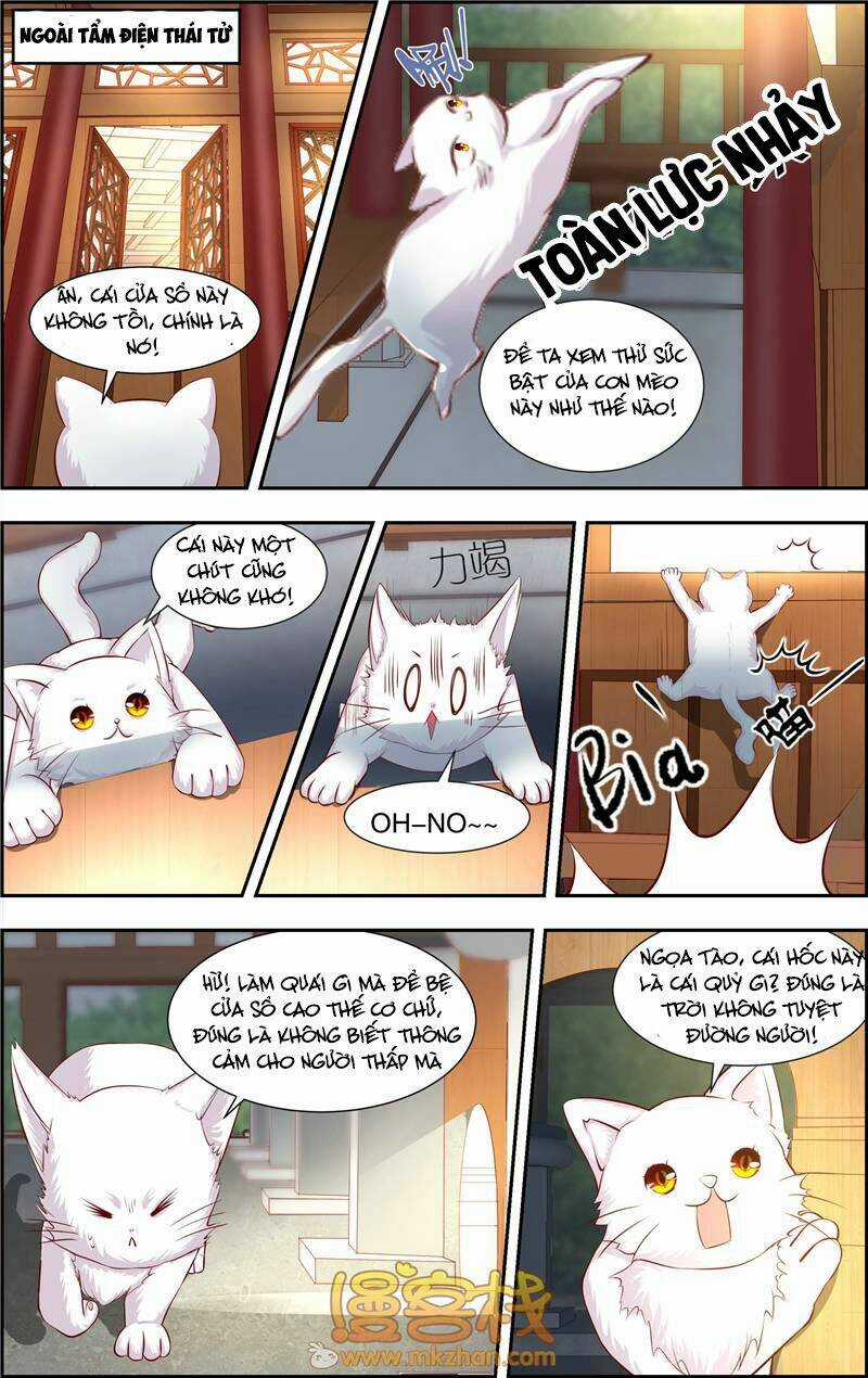 Kỳ Môn Nữ Mệnh Sư - Chapter 6 - Trang 11