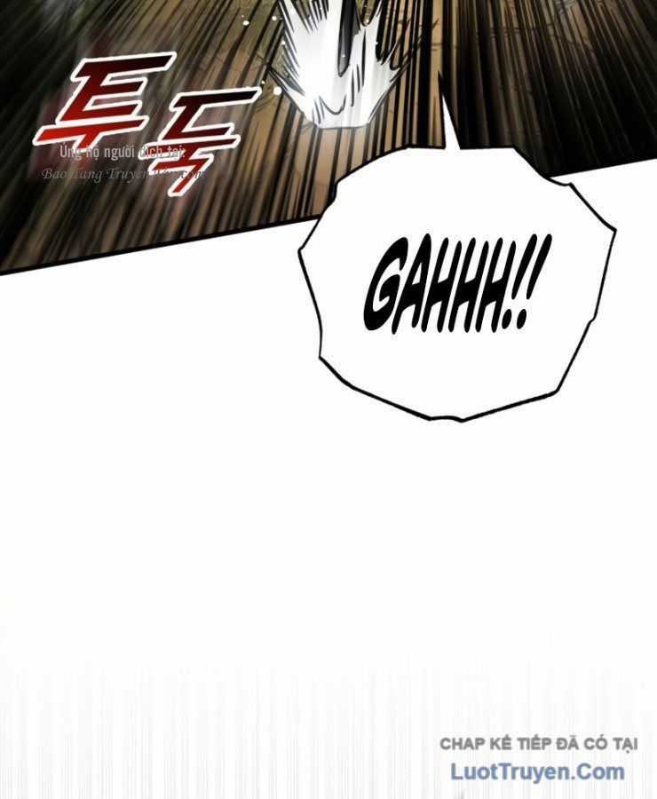 Kỵ Sĩ Lang Thang - Chương 25 - Trang 69