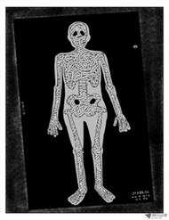 Đọc truyện Ký Sinh Trùng