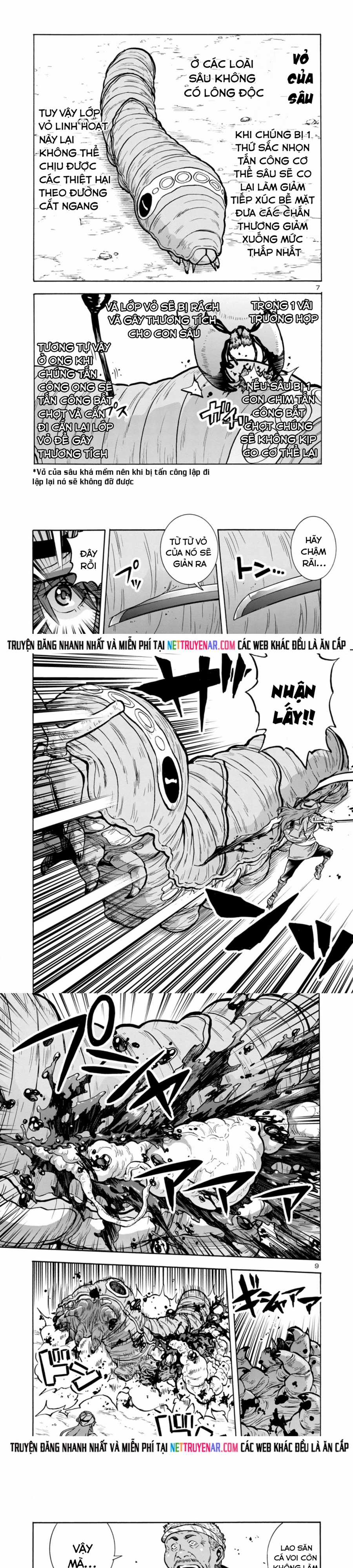 Kyochuu Rettou - Đảo Côn Trùng - Chapter 74 - Trang 3