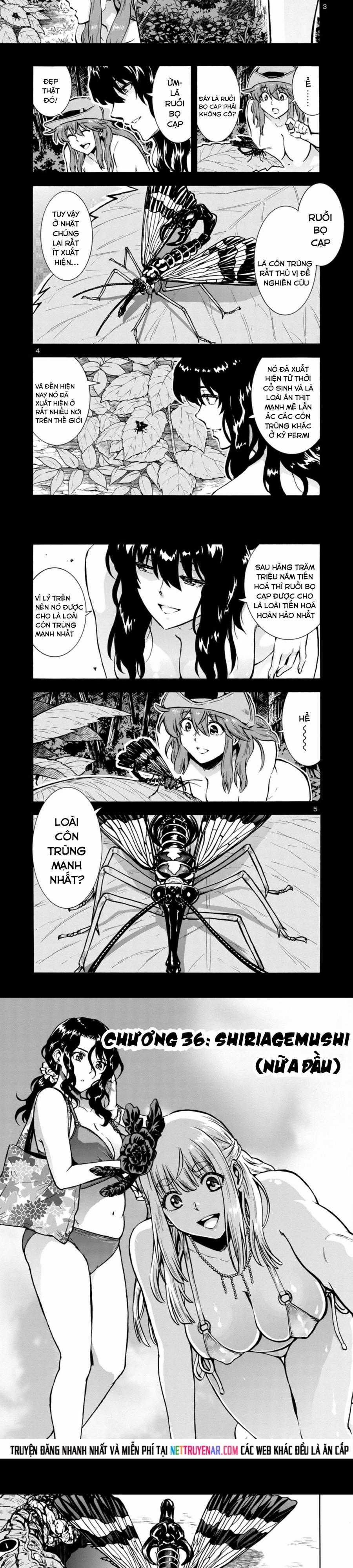 Kyochuu Rettou - Đảo Côn Trùng - Chapter 75 - Trang 2