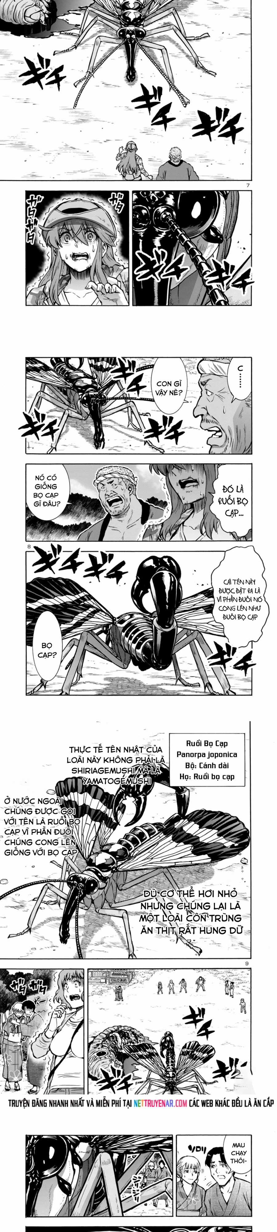 Kyochuu Rettou - Đảo Côn Trùng - Chapter 75 - Trang 3