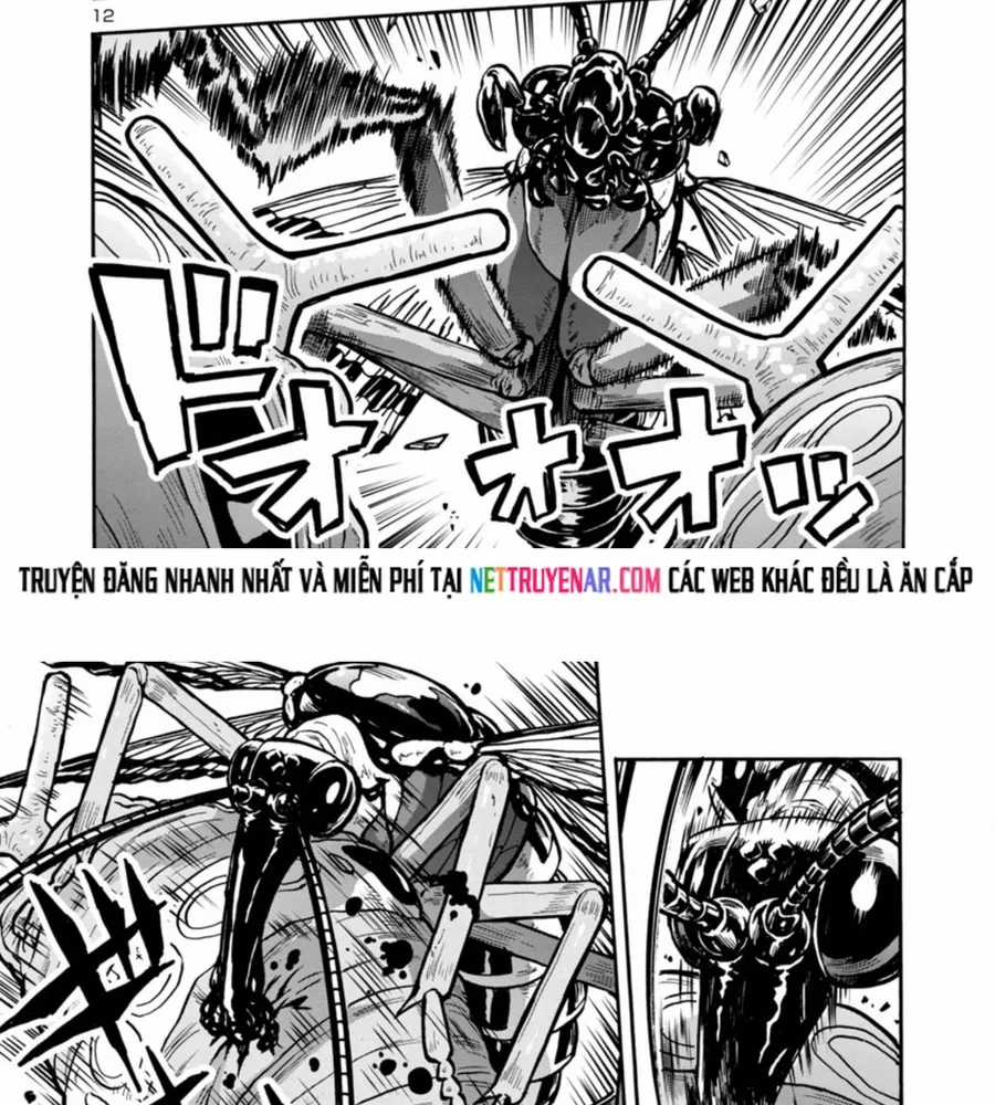 Kyochuu Rettou - Đảo Côn Trùng - Chapter 76 - Trang 12