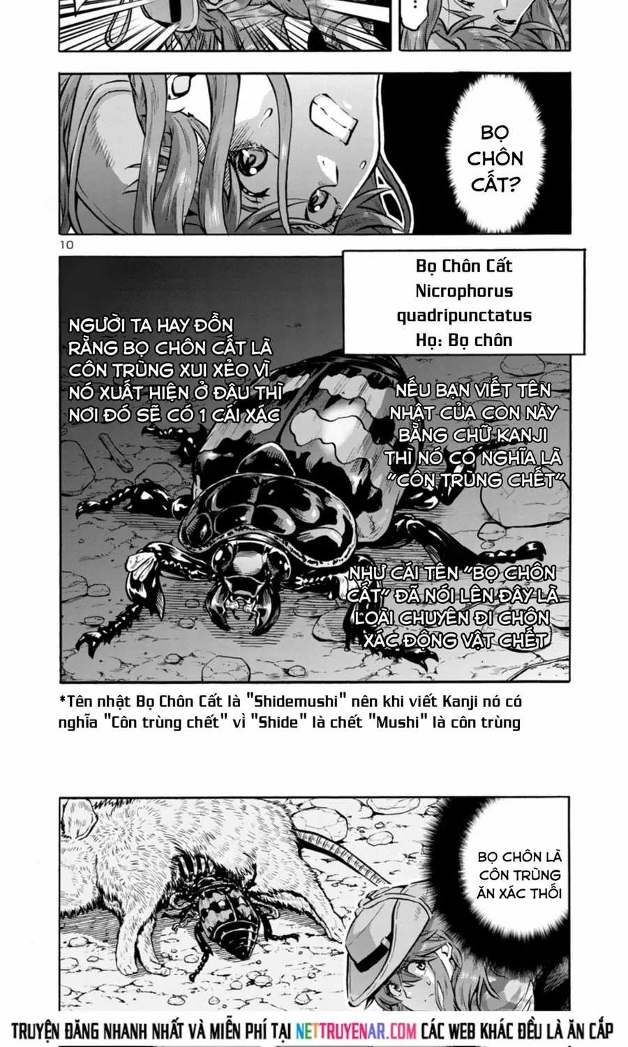 Kyochuu Rettou - Đảo Côn Trùng - Chapter 80 - Trang 10