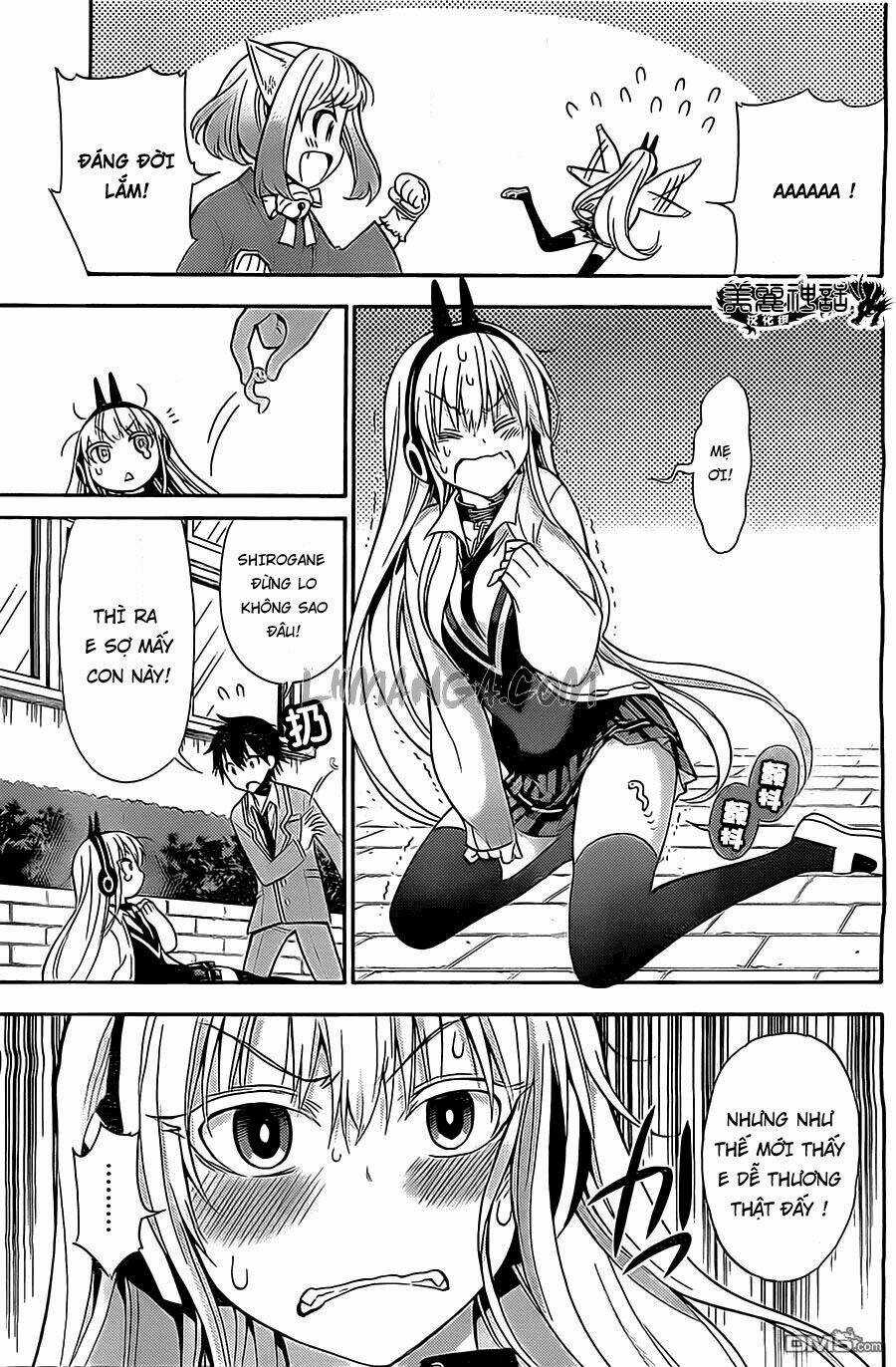 Kyou No Cerberus - Chapter 7 - Trang 19