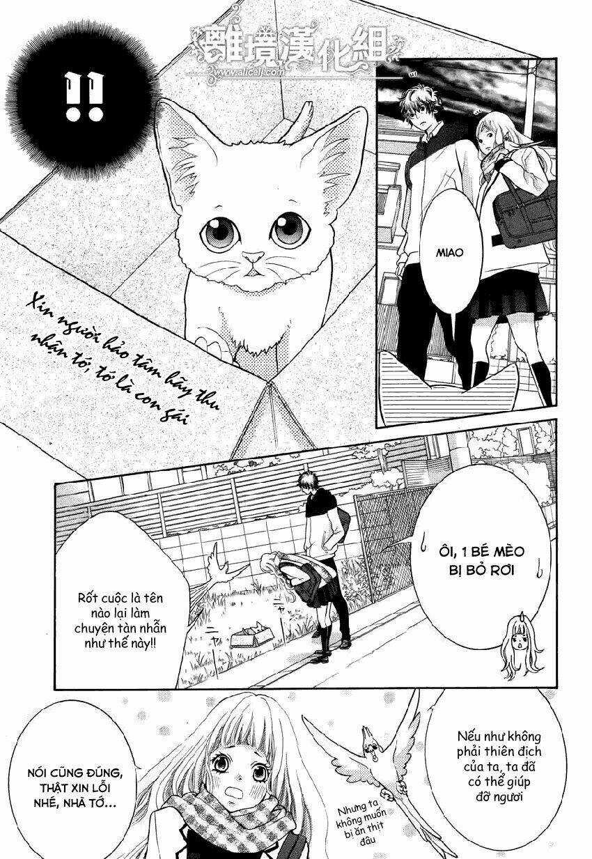 Kyou No Kira-Kun - Chapter 13 - Trang 8
