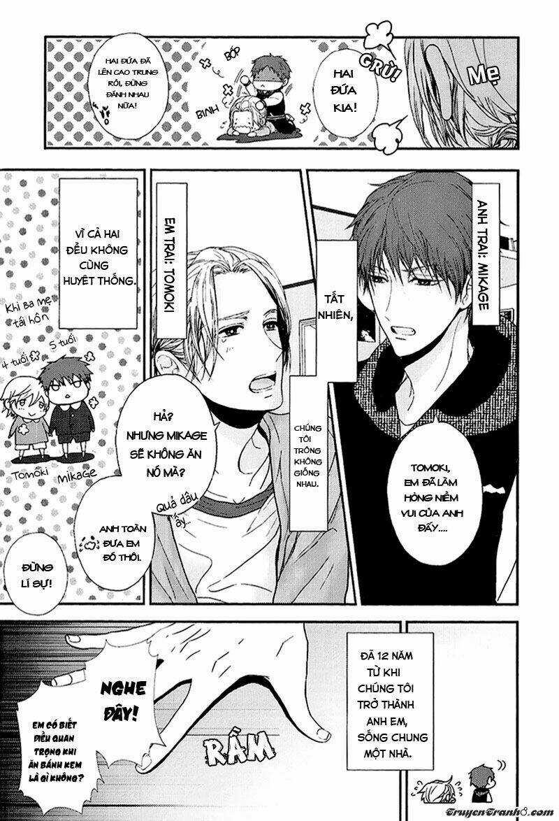 Kyoudai No Rule - Chapter 1 - Trang 20