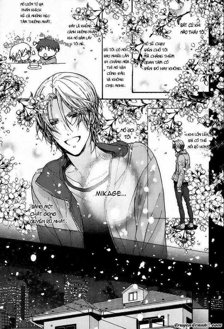 Kyoudai No Rule - Chapter 2 - Trang 8