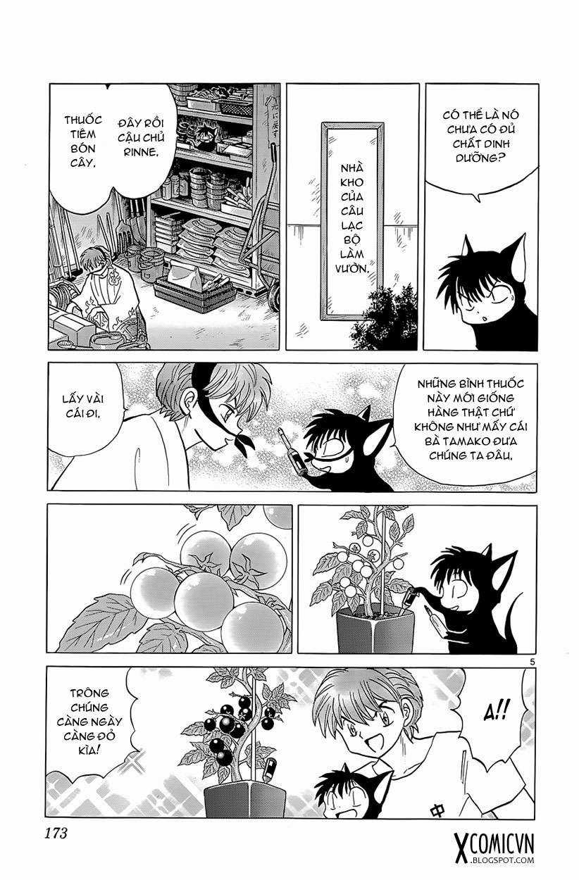 Kyoukai no Rinne - Chapter 198 - Trang 5